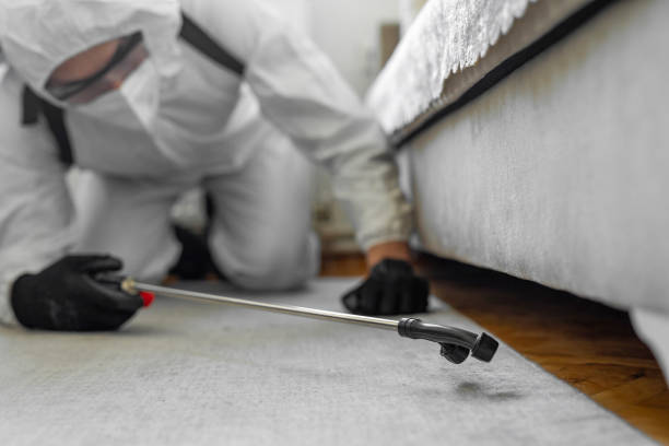 Professional Wasp Control technician working in North Bay Shore, NY