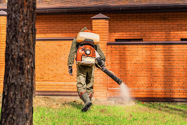 Trusted Bed Bug Control service in North Bay Shore, NY - Nex Pest Control